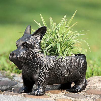 Planters